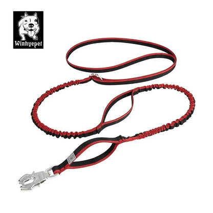 Winhye Dog Leash YL1833: Advanced Multifunctional Leash with Shock-Absorbing Design - Dog.Dog.Cat.