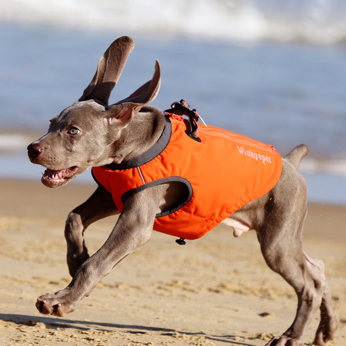 Premium Waterproof Winter Dog Coat YG1871 - Dog.Dog.Cat.