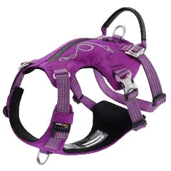 Purple / XS