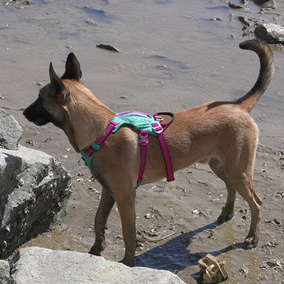 Winhyepet Dog Harness Escape Proof with Zippered Pocket - YH1811 - Dog.Dog.Cat.