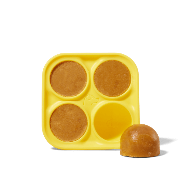 Woof - Pupsicle Treat Tray - Dog.Dog.Cat.