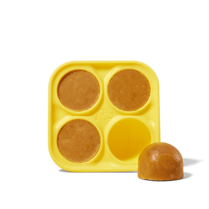 Woof - Pupsicle Treat Tray - Dog.Dog.Cat.