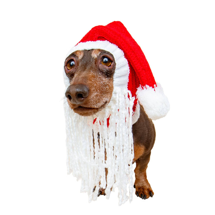 Zoo Snoods - Santa Hat w/Beard Dog Snood - Dog.Dog.Cat.