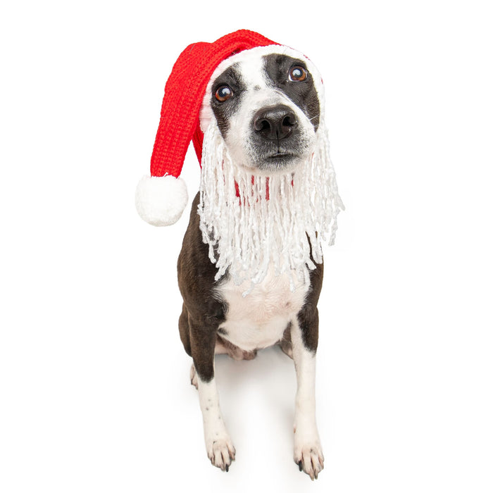 Zoo Snoods - Santa Hat w/Beard Dog Snood - Dog.Dog.Cat.
